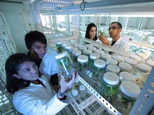 电话轰在线轰炸平台自助下单